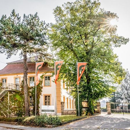 Stadtschloss Hecklingen*** Hecklingen  Exterior foto