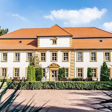 Stadtschloss Hecklingen*** Hecklingen  Exterior foto